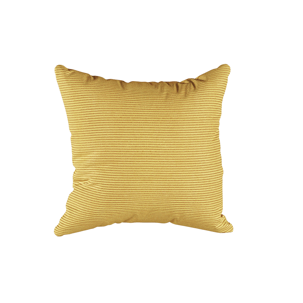 Coussin décoratif sur mesure en Velvet