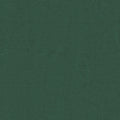 Forest – S6019