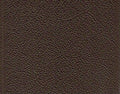 Dark Brown – S3002