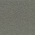 Gray – S2004