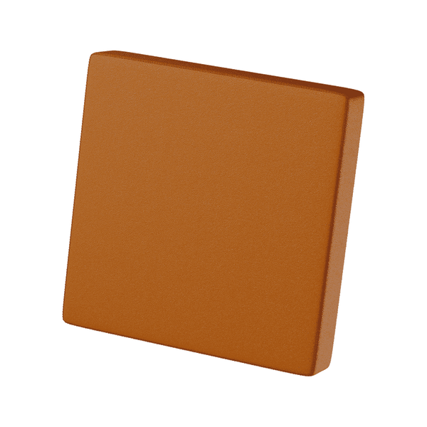 Leder-Rückenkissen nach Maß - Cognac - S3000´